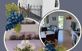 Villa Bianca - Holiday & Business